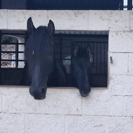 Club Hipica La Ferme De Montroy キャンプ場 ポロップ